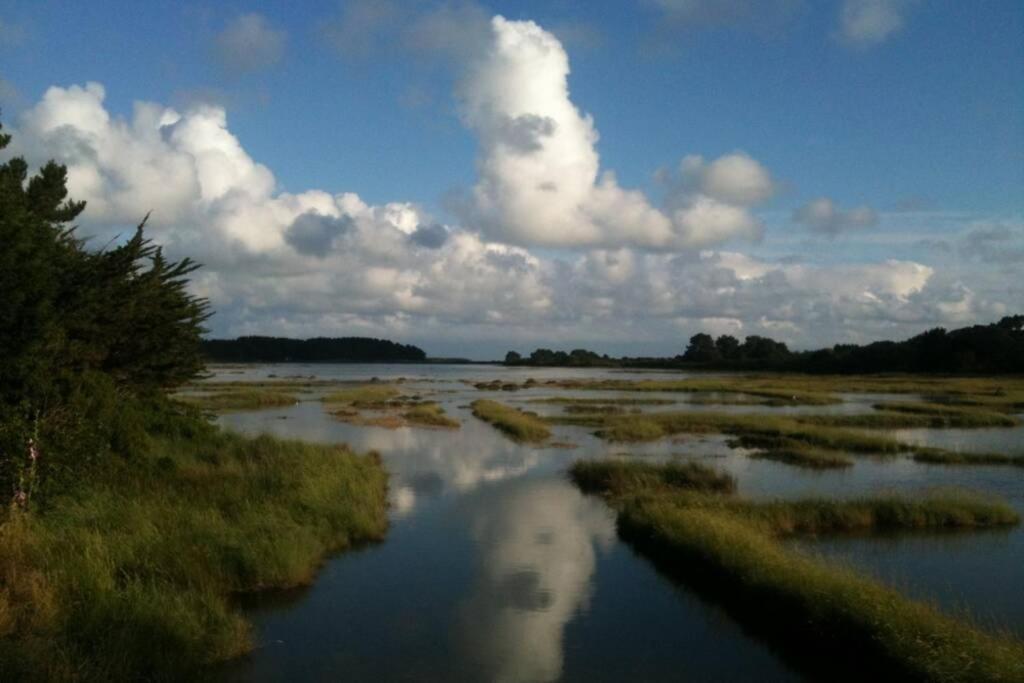 Maison Avec Jardin Clos. Animaux Acceptes - Wifi - Proche Plages De La Trinite Sur Mer Et Carnac ภายนอก รูปภาพ